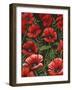 Poppies at Midnight I-Grace Popp-Framed Art Print