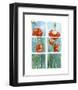 Poppies at the Window-Sonia P^-Framed Art Print