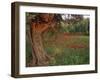 Poppies Beneath an Old Olive Tree, on the Island of Rhodes, Dodecanese, Greek Islands, Greece-Miller John-Framed Photographic Print