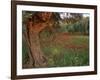 Poppies Beneath an Old Olive Tree, on the Island of Rhodes, Dodecanese, Greek Islands, Greece-Miller John-Framed Photographic Print