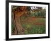 Poppies Beneath an Old Olive Tree, on the Island of Rhodes, Dodecanese, Greek Islands, Greece-Miller John-Framed Photographic Print