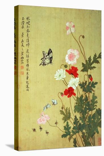 Poppies, Butterflies and Bees-Ma Yuanyu-Stretched Canvas