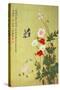 Poppies, Butterflies and Bees-Ma Yuanyu-Stretched Canvas