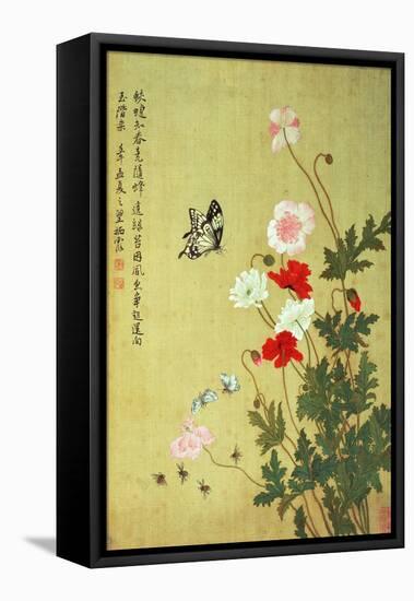 Poppies, Butterflies and Bees-Ma Yuanyu-Framed Stretched Canvas