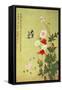 Poppies, Butterflies and Bees-Ma Yuanyu-Framed Stretched Canvas