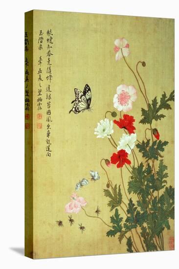 Poppies, Butterflies and Bees-Ma Yuanyu-Stretched Canvas