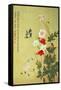 Poppies, Butterflies and Bees-Ma Yuanyu-Framed Stretched Canvas