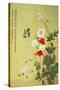 Poppies, Butterflies and Bees-Ma Yuanyu-Stretched Canvas