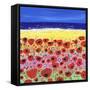 Poppies by the Beach-Caroline Duncan-Framed Stretched Canvas