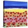 Poppies by the Beach-Caroline Duncan-Stretched Canvas