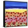 Poppies by the Beach-Caroline Duncan-Framed Stretched Canvas