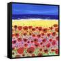 Poppies by the Beach-Caroline Duncan-Framed Stretched Canvas