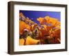 Poppies, CA-David Carriere-Framed Photographic Print