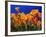 Poppies, CA-David Carriere-Framed Photographic Print