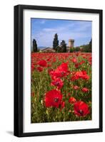 Poppies Close and Personal-Michael Blanchette-Framed Photographic Print