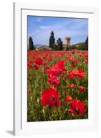 Poppies Close and Personal-Michael Blanchette-Framed Photographic Print