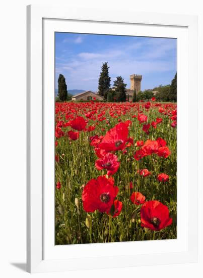 Poppies Close and Personal-Michael Blanchette-Framed Photographic Print