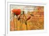 Poppies Composition I-Patricia Pinto-Framed Art Print