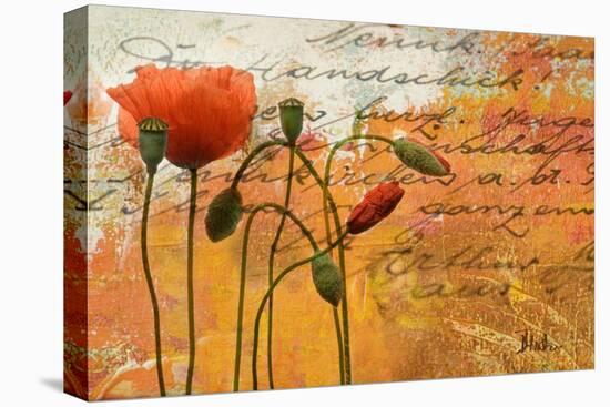 Poppies Composition I-Patricia Pinto-Stretched Canvas