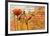 Poppies Composition I-Patricia Pinto-Framed Premium Giclee Print