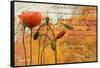 Poppies Composition I-Patricia Pinto-Framed Stretched Canvas