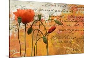 Poppies Composition I-Patricia Pinto-Stretched Canvas