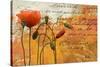 Poppies Composition I-Patricia Pinto-Stretched Canvas