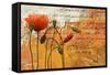 Poppies Composition I-Patricia Pinto-Framed Stretched Canvas