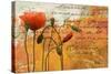 Poppies Composition I-Patricia Pinto-Stretched Canvas