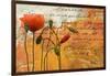 Poppies Composition I-Patricia Pinto-Framed Art Print