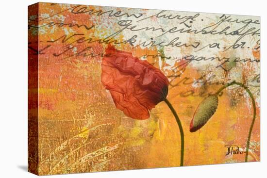 Poppies Composition II-Patricia Pinto-Stretched Canvas