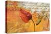 Poppies Composition II-Patricia Pinto-Stretched Canvas