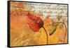 Poppies Composition II-Patricia Pinto-Framed Stretched Canvas