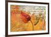 Poppies Composition II-Patricia Pinto-Framed Art Print