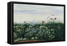 Poppies, Daisies and Other Flowers by the Sea-Andrew Nicholl-Framed Stretched Canvas