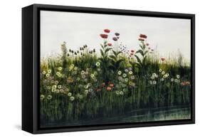 Poppies, Daisies and Thistles on a River Bank-Andrew Nicholl-Framed Stretched Canvas