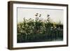 Poppies, Daisies and Thistles on a River Bank-Andrew Nicholl-Framed Giclee Print