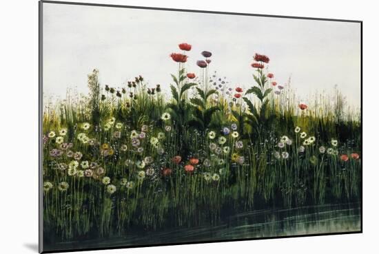Poppies, Daisies and Thistles on a River Bank-Andrew Nicholl-Mounted Giclee Print