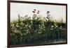 Poppies, Daisies and Thistles on a River Bank-Andrew Nicholl-Framed Giclee Print