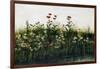 Poppies, Daisies and Thistles on a River Bank-Andrew Nicholl-Framed Giclee Print