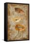 Poppies de Brun I-Lanie Loreth-Framed Stretched Canvas