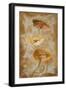 Poppies de Brun I-Lanie Loreth-Framed Art Print