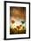 Poppies Dream-Marco Carmassi-Framed Photographic Print