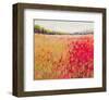 Poppies Evening Light V-null-Framed Art Print