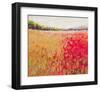 Poppies Evening Light V-null-Framed Art Print