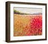 Poppies Evening Light V-null-Framed Art Print