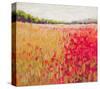 Poppies Evening Light V-null-Stretched Canvas