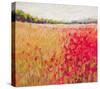 Poppies Evening Light V-null-Stretched Canvas