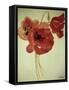 Poppies from the Cornfield-Joan Thewsey-Framed Stretched Canvas