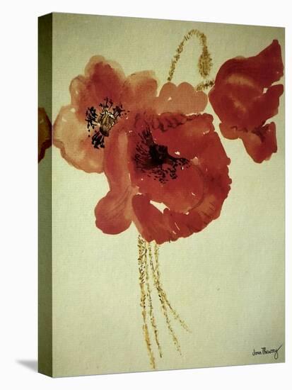Poppies from the Cornfield-Joan Thewsey-Stretched Canvas